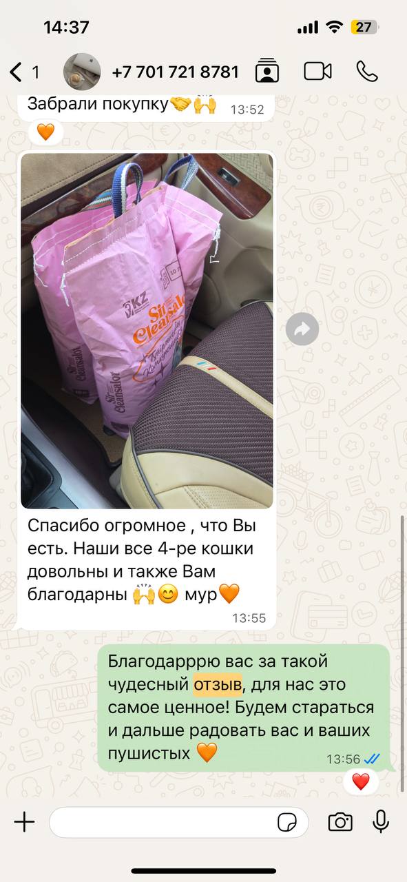 Отзыв в WhatsApp: все 4 кошки довольны