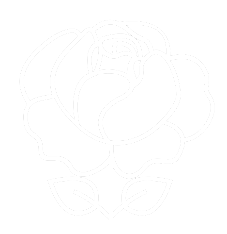 website icon