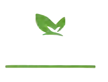 Кафе «Imbir»