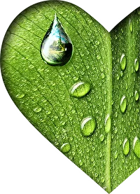 вендинговый аппарат по продаже воды на улице