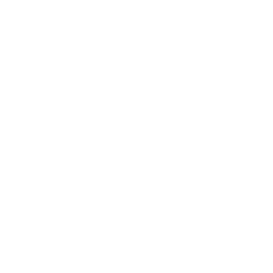 website icon