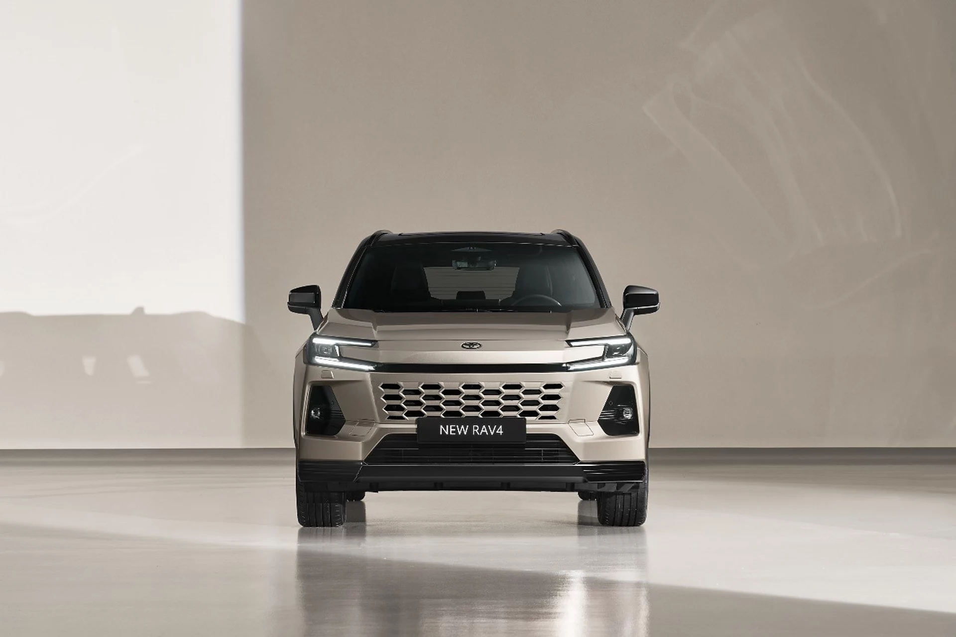 Catalyst Rava 4 RAV4