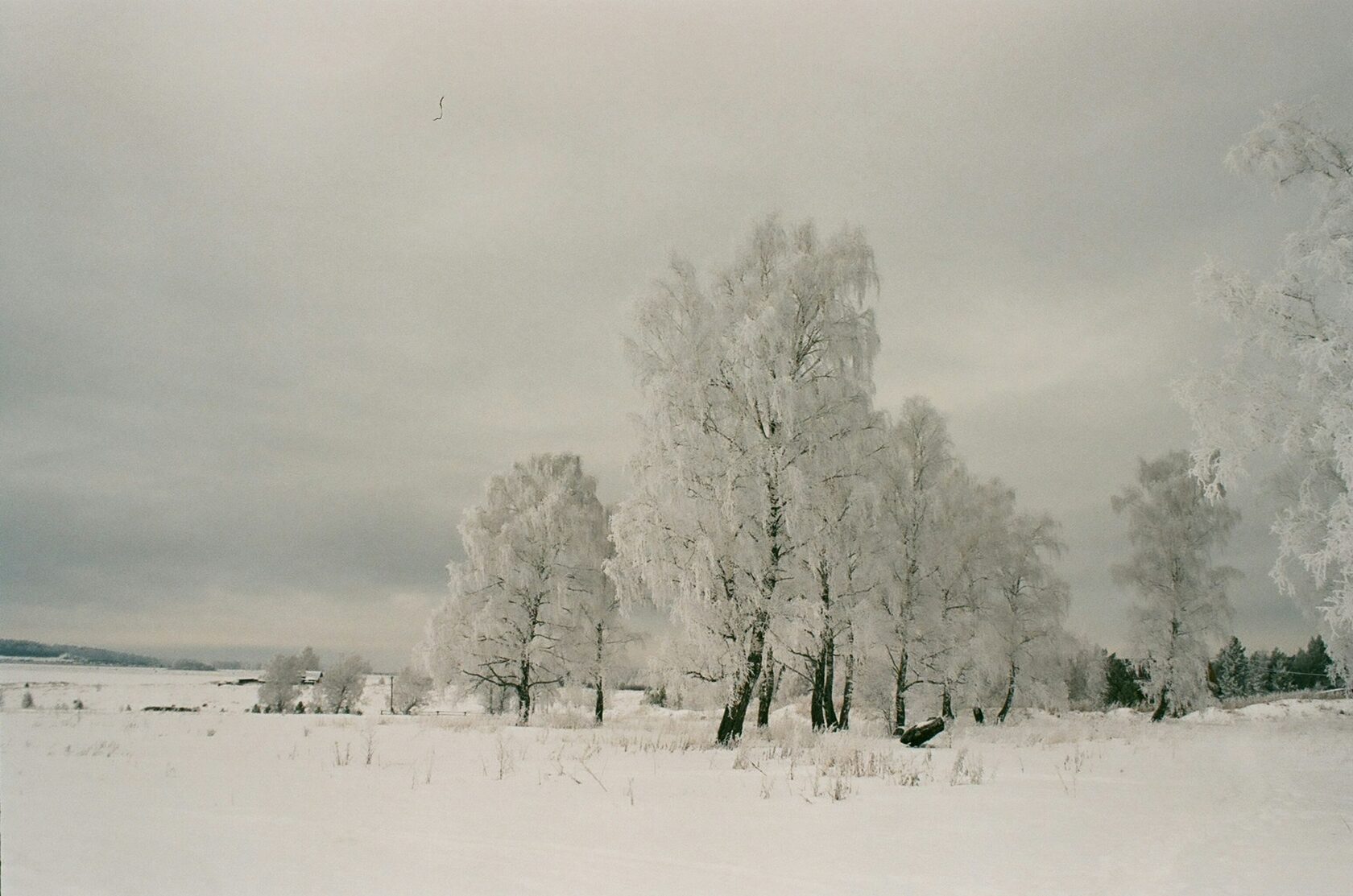 Печорский пейзаж