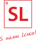 Saelog