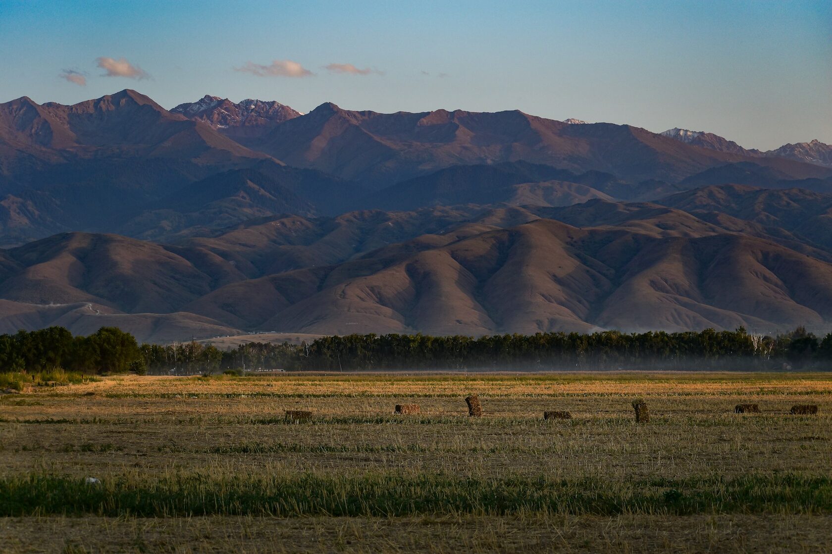 Golden steppe landscape at sunset