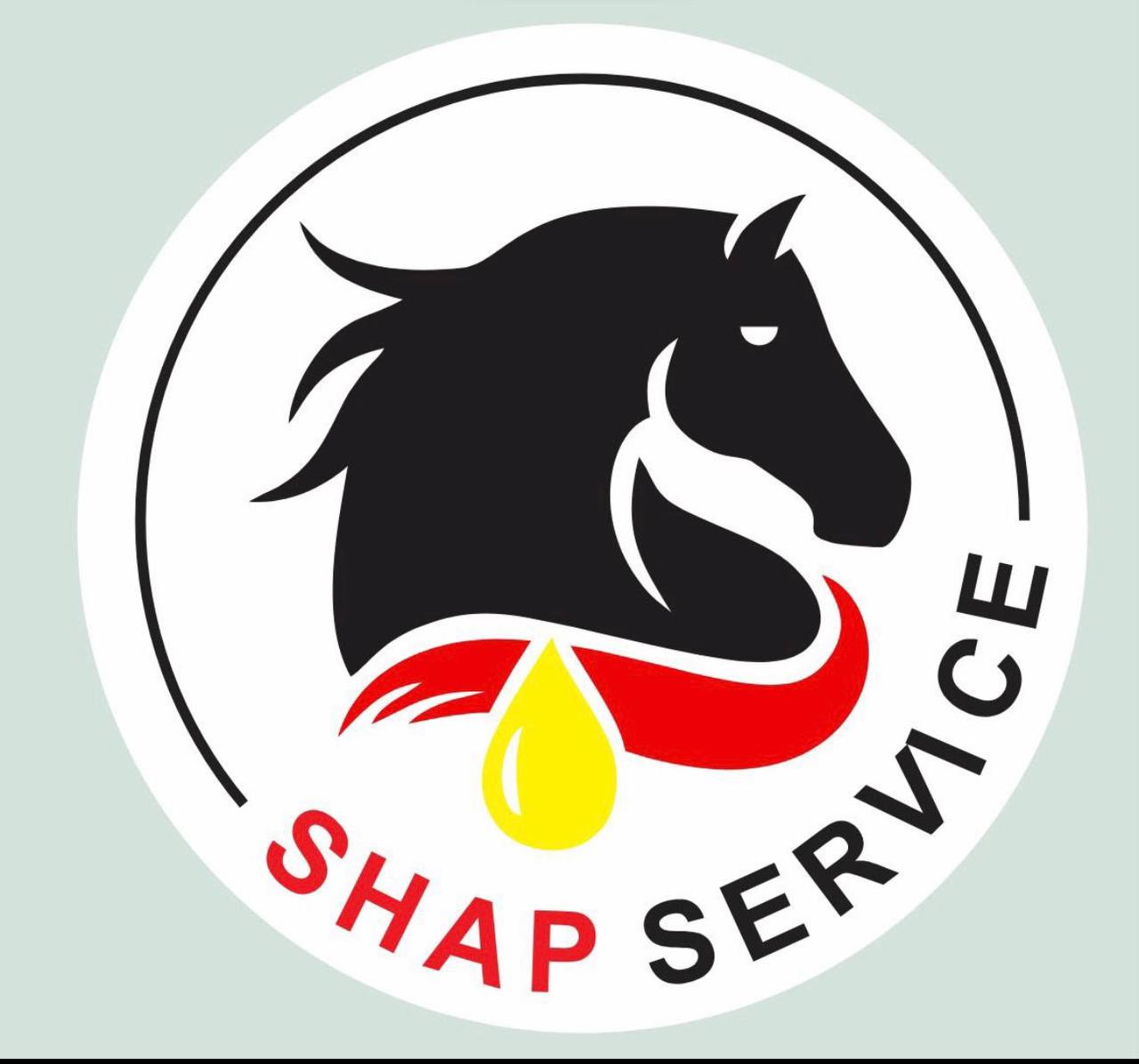 SHAP