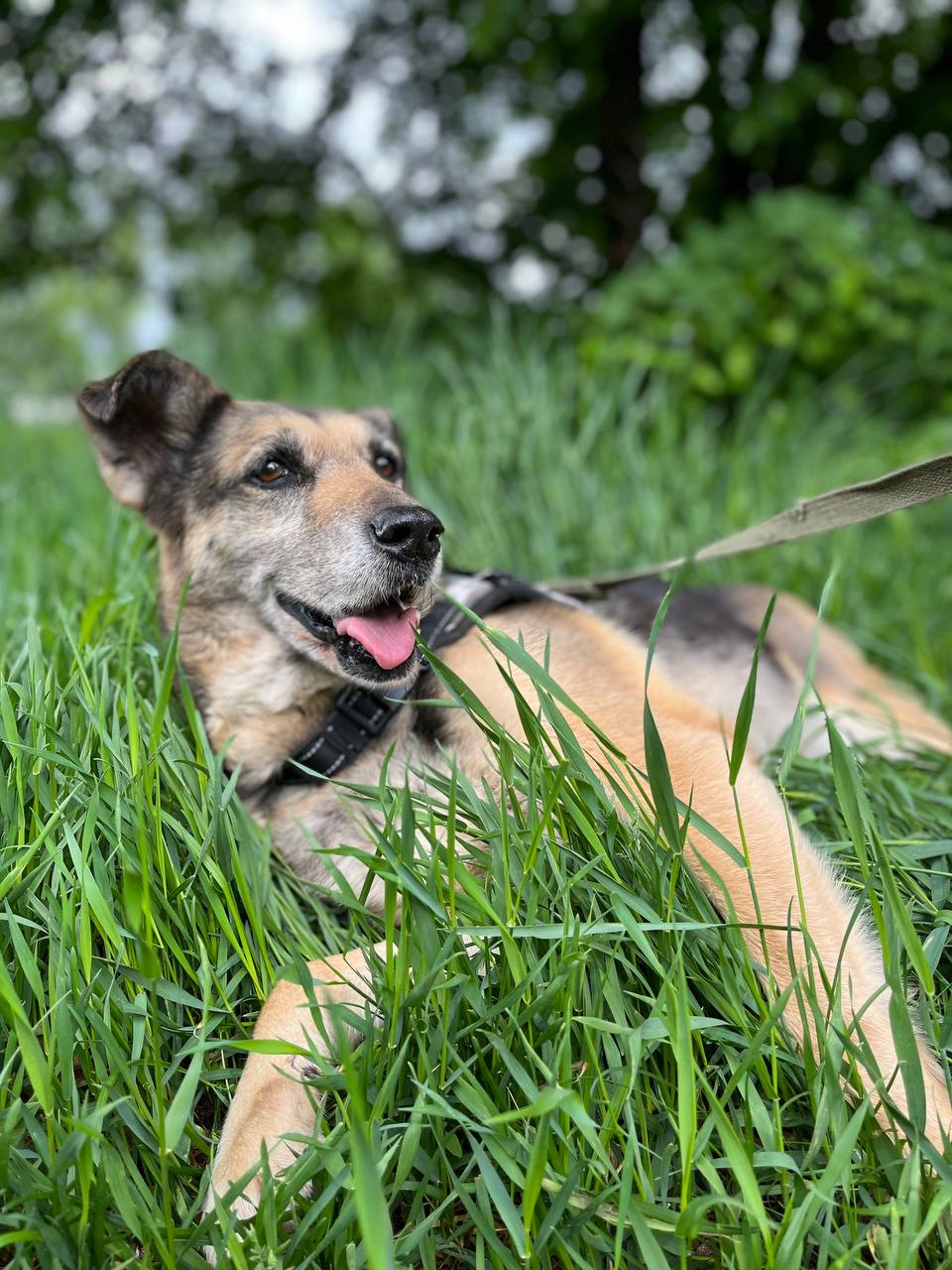 Ирма из Некрасовки