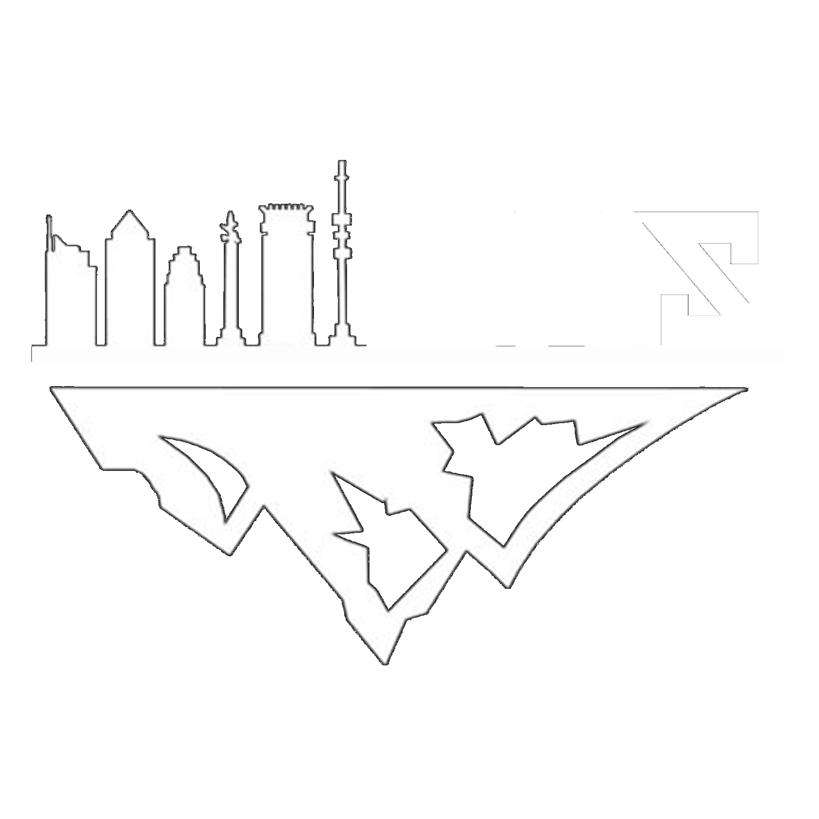  ZNS 
