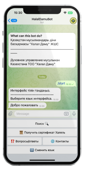 Чат бот для Халал Даму