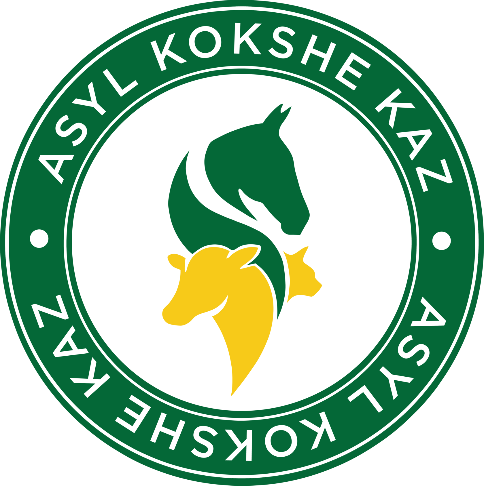 Asyl Kokshe Kaz