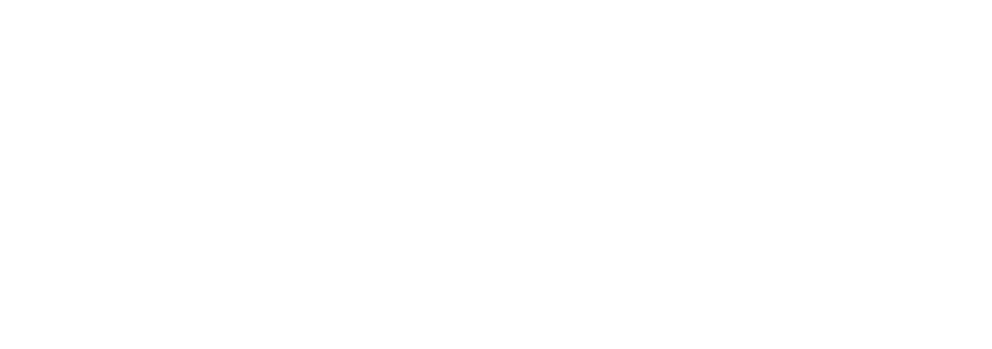 IDAL CONCEPT