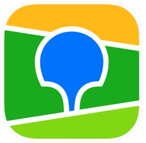 website icon