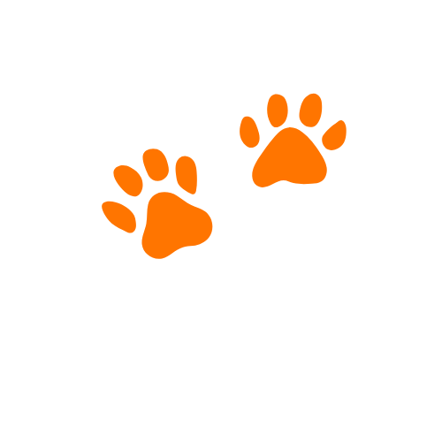  Твой проводник в Центральную Азию! 