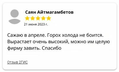 Отзывы горох