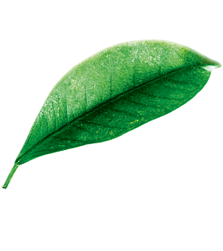 Заказать консультацию и образцы для дегустации