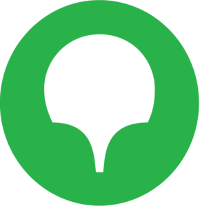 website icon
