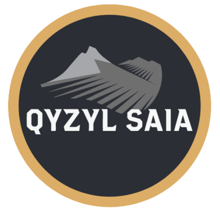 Qyzylsaia