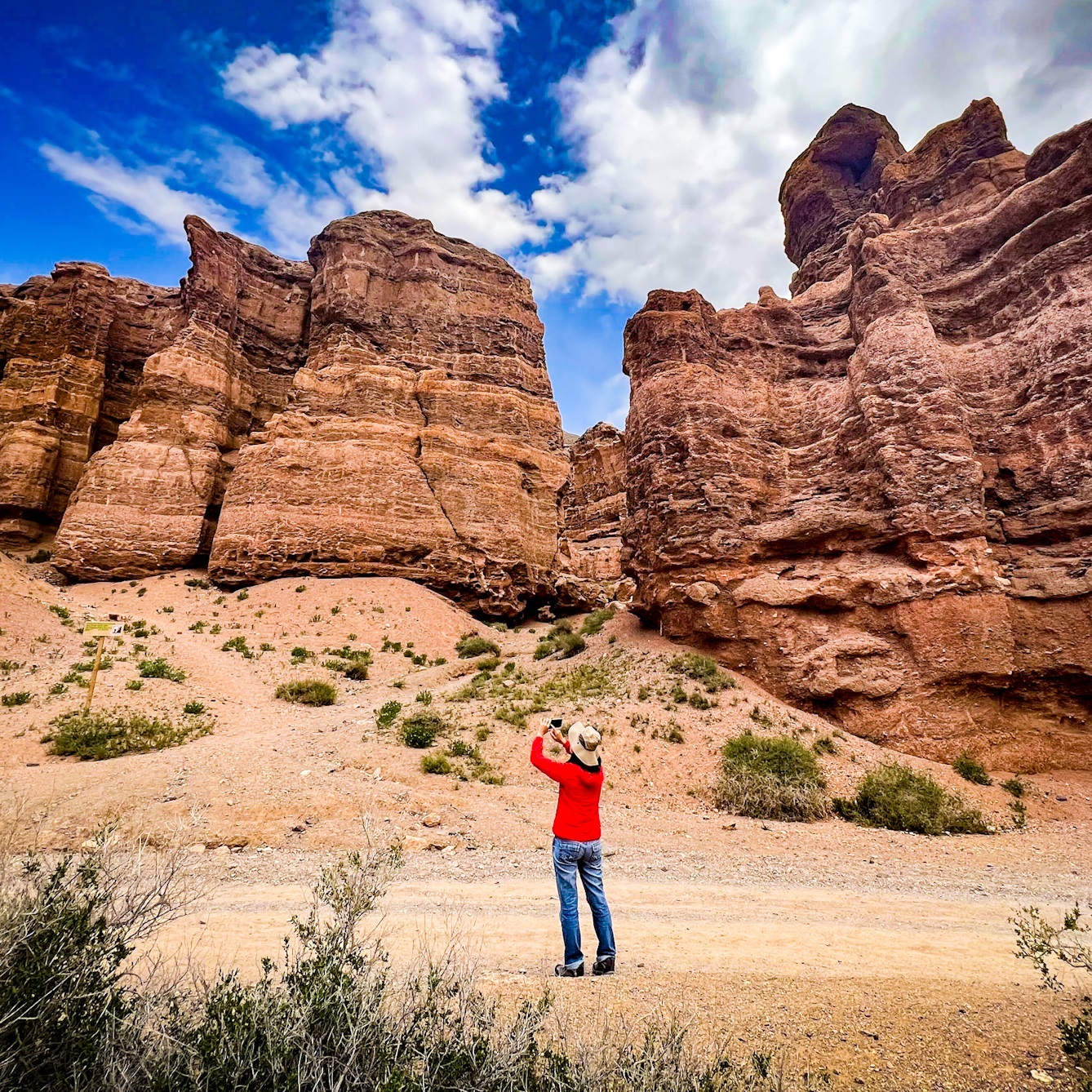 однодневные туры в казахстан