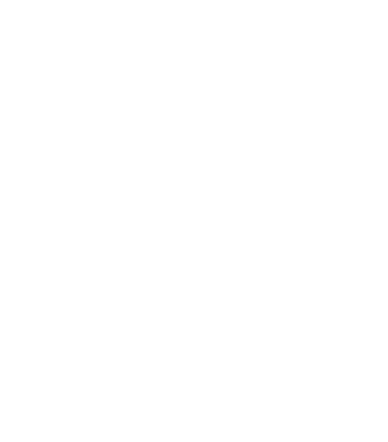 «Bay Travel»