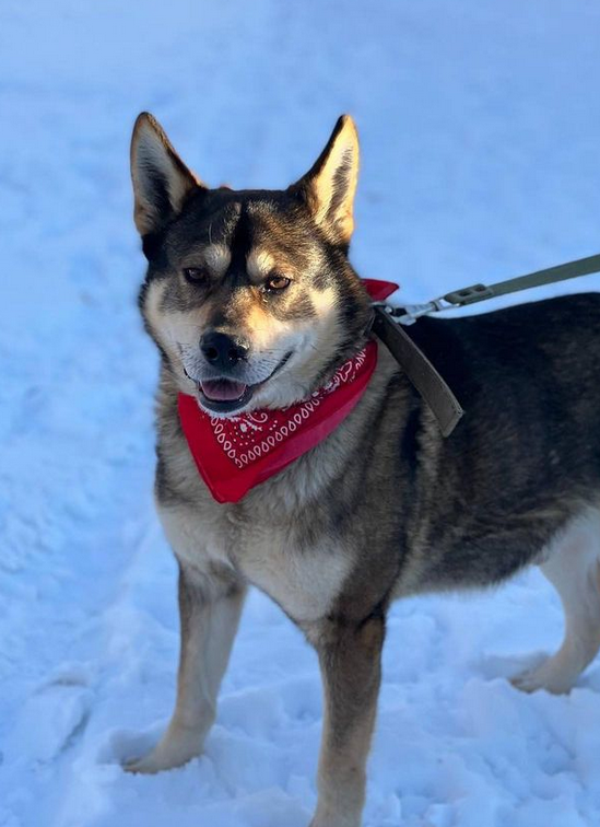 Того из Некрасовки