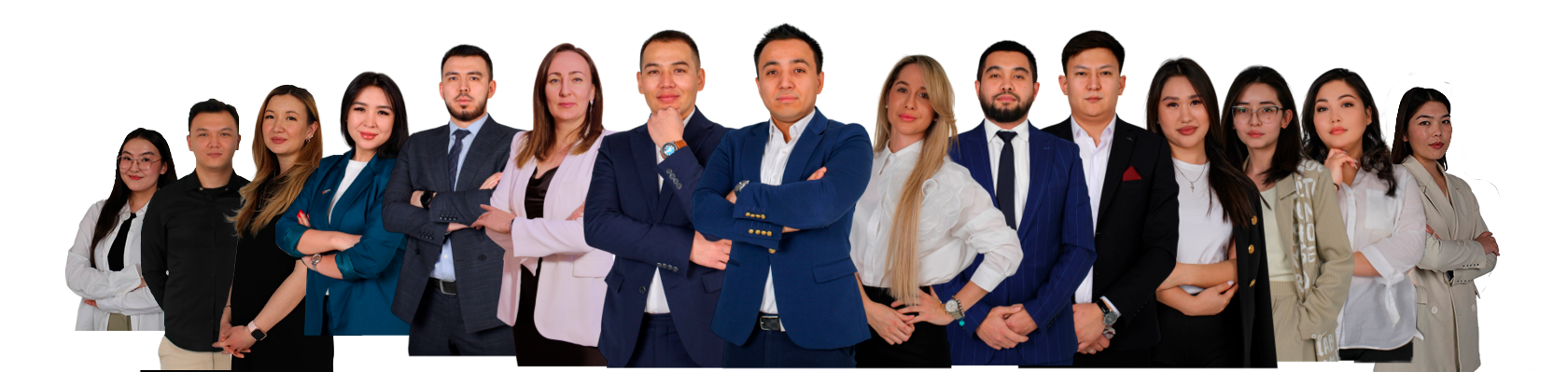 профьюжн проджектс