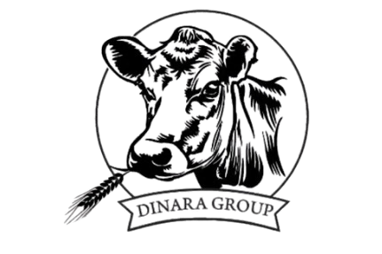 DinaraGroup