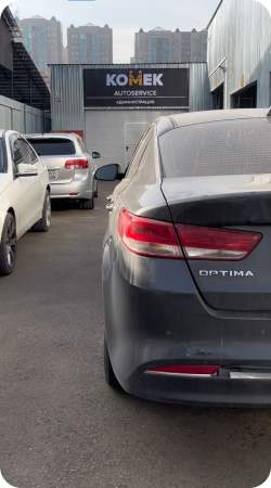 Еврей қыздары мен әйелдерінің өсіп кеткен писькилері мен аяқтары