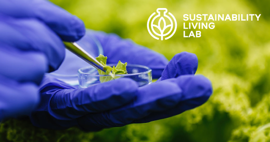 Sll Project Sustainability Living Lab