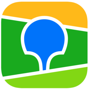 website icon