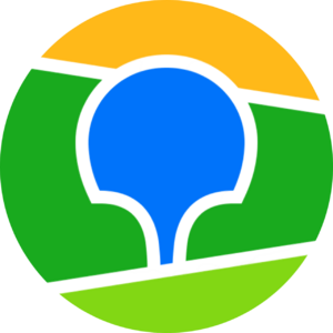 website icon