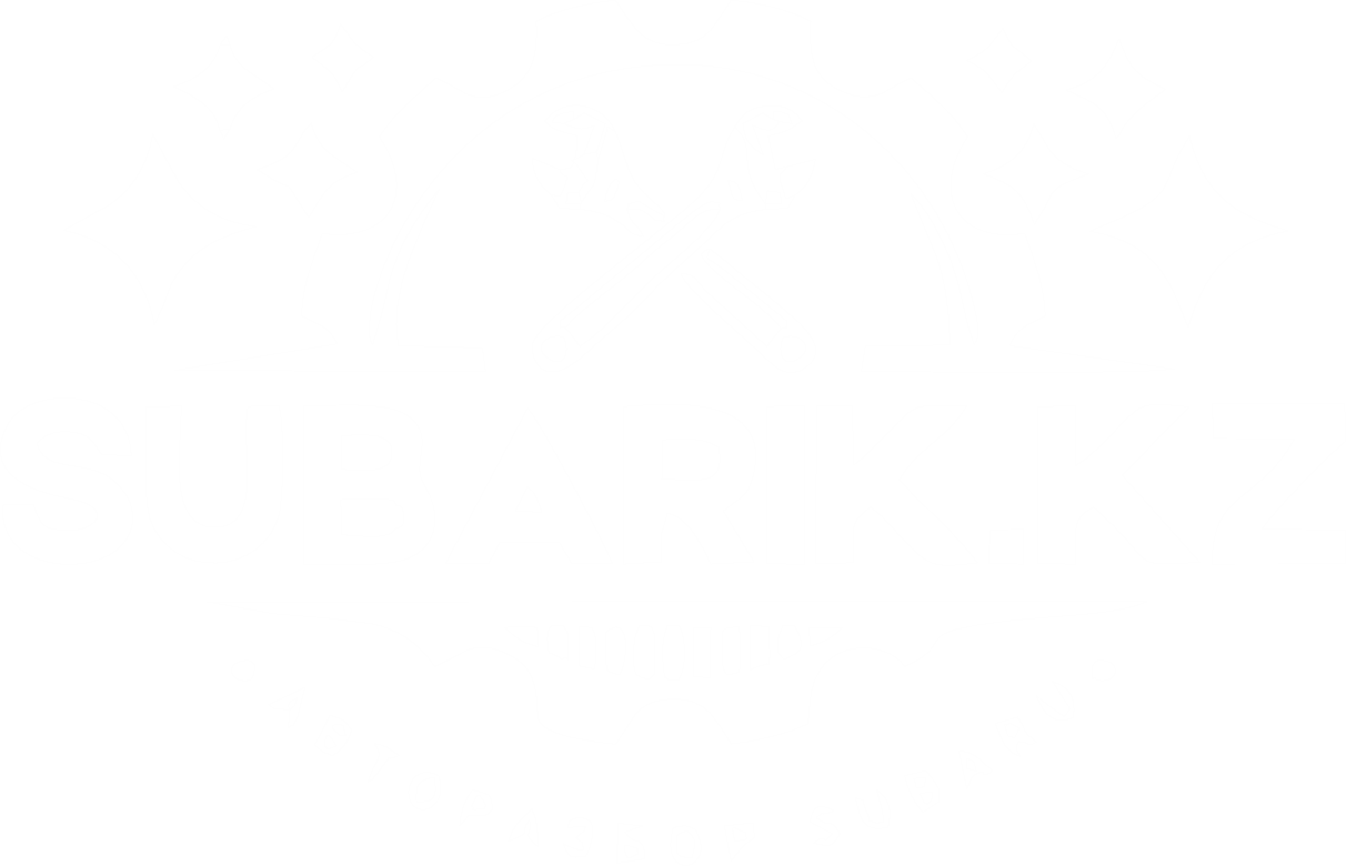 Subarik.kz