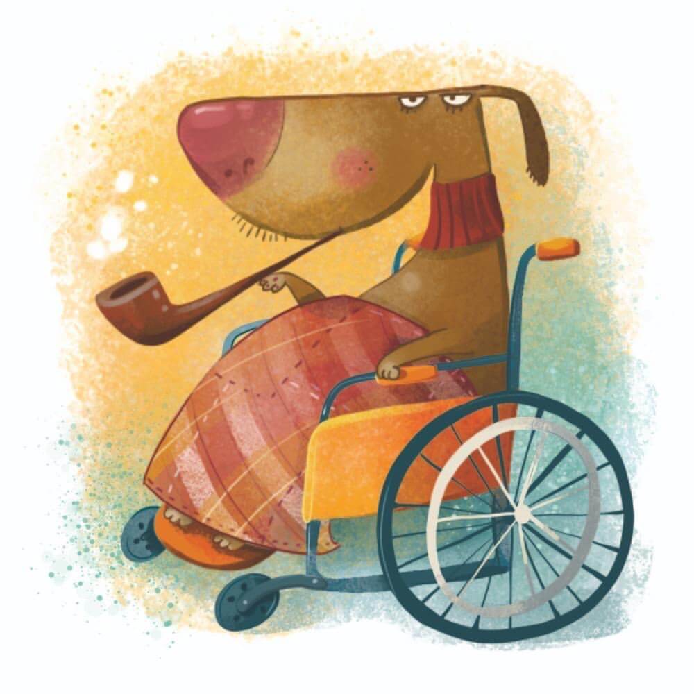 Старые собаки из приюта