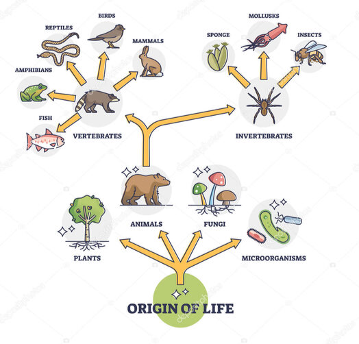 Төмендетілген адамның жеке фотосы