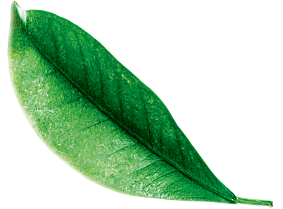 Передовые технологии