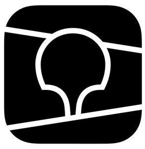 website icon