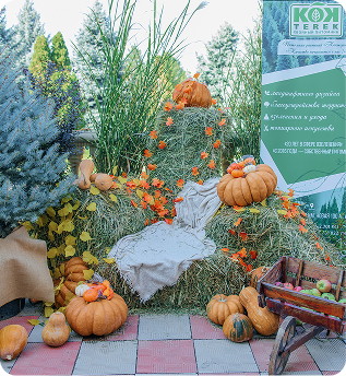растения