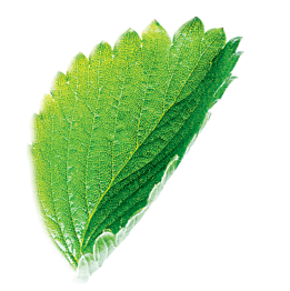 Эргономичная и функциональная упаковка