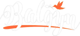 Balgyn