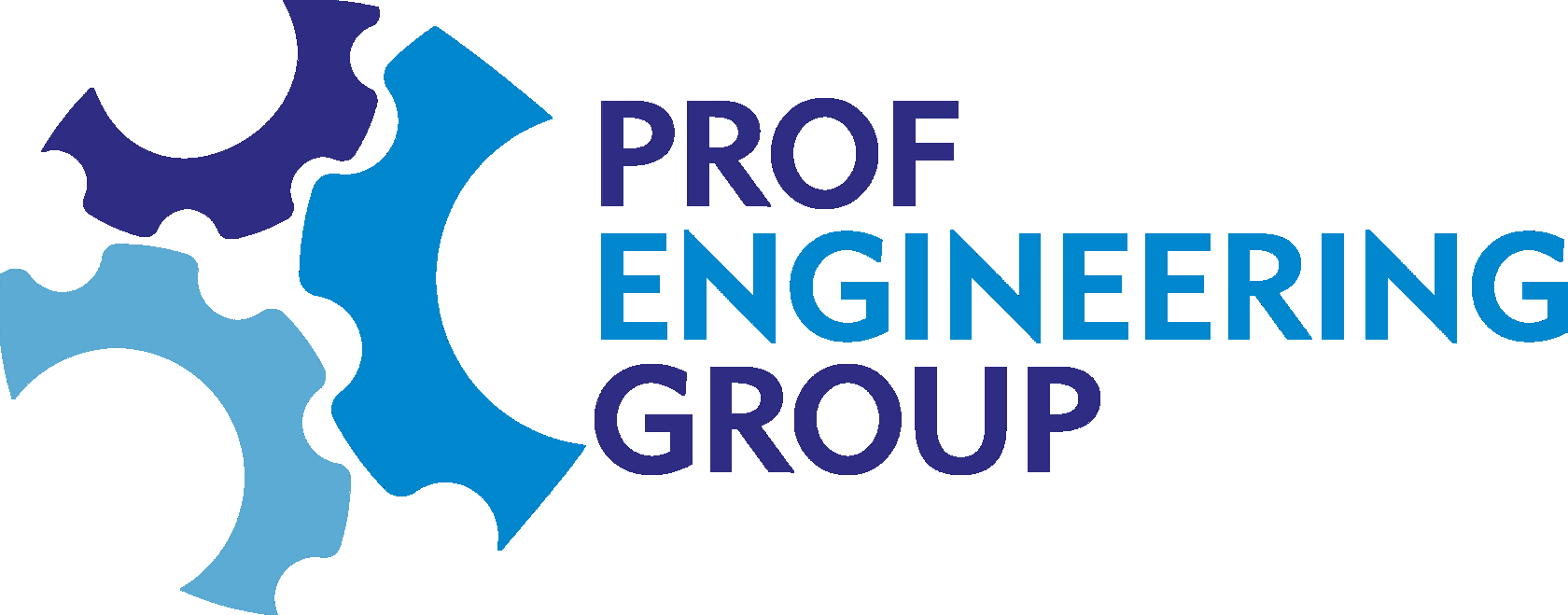 PROF ENGINEERING GROUP