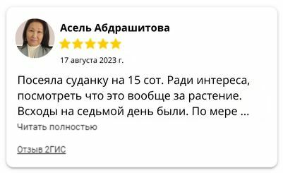 Отзывы по суданке