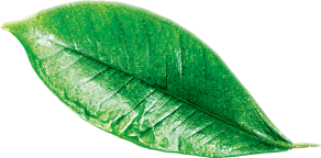 Заказать консультацию и образцы для дегустации