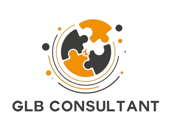  GLOBAL CONSULTANT 