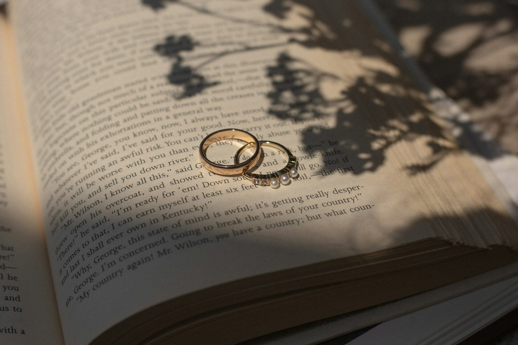 Обложка книги «Сердце в Архиве»