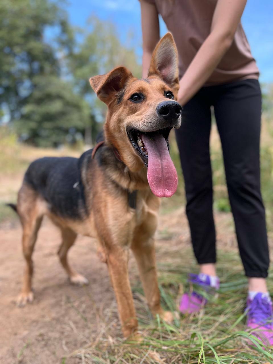 Брюс из Некрасовки