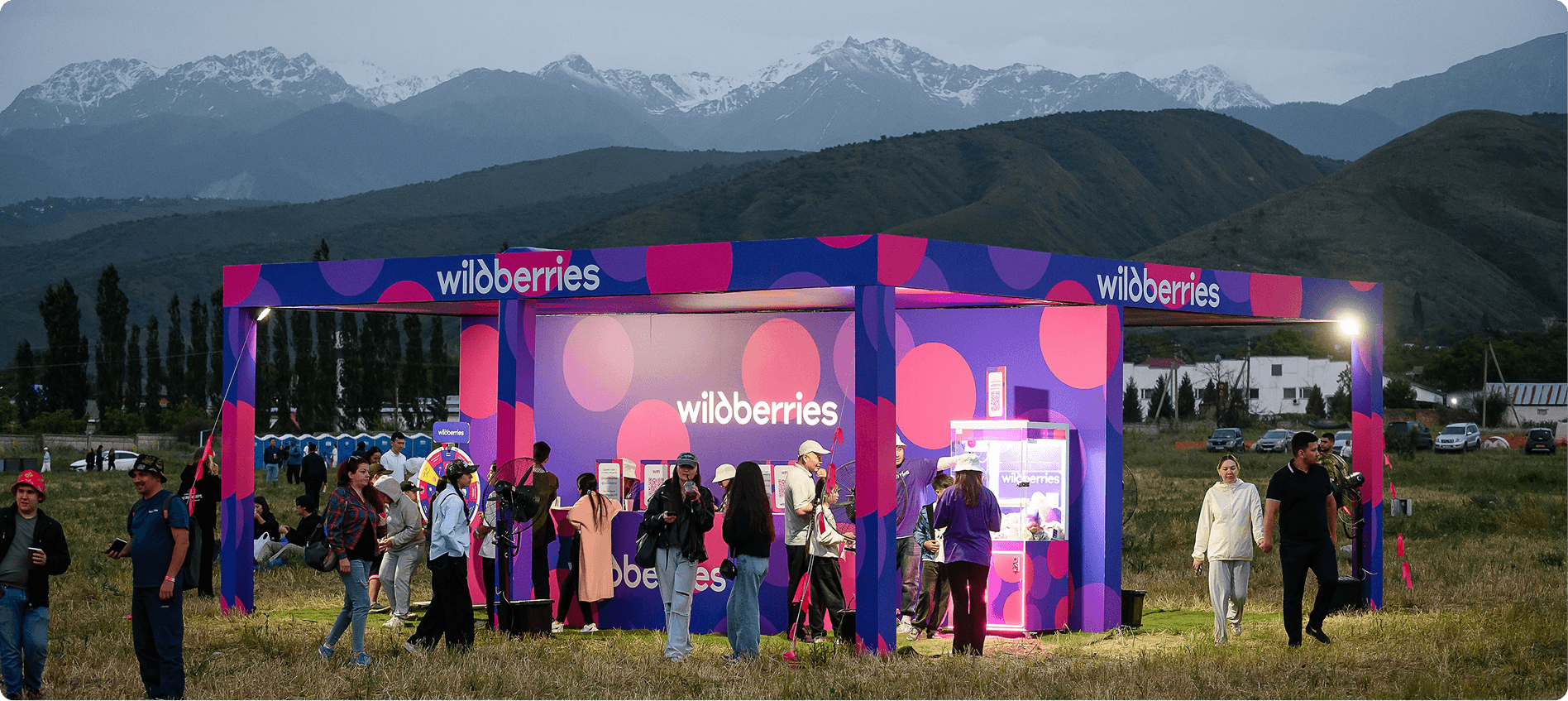 Кейс Wildberries Шары