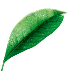 Передовые технологии