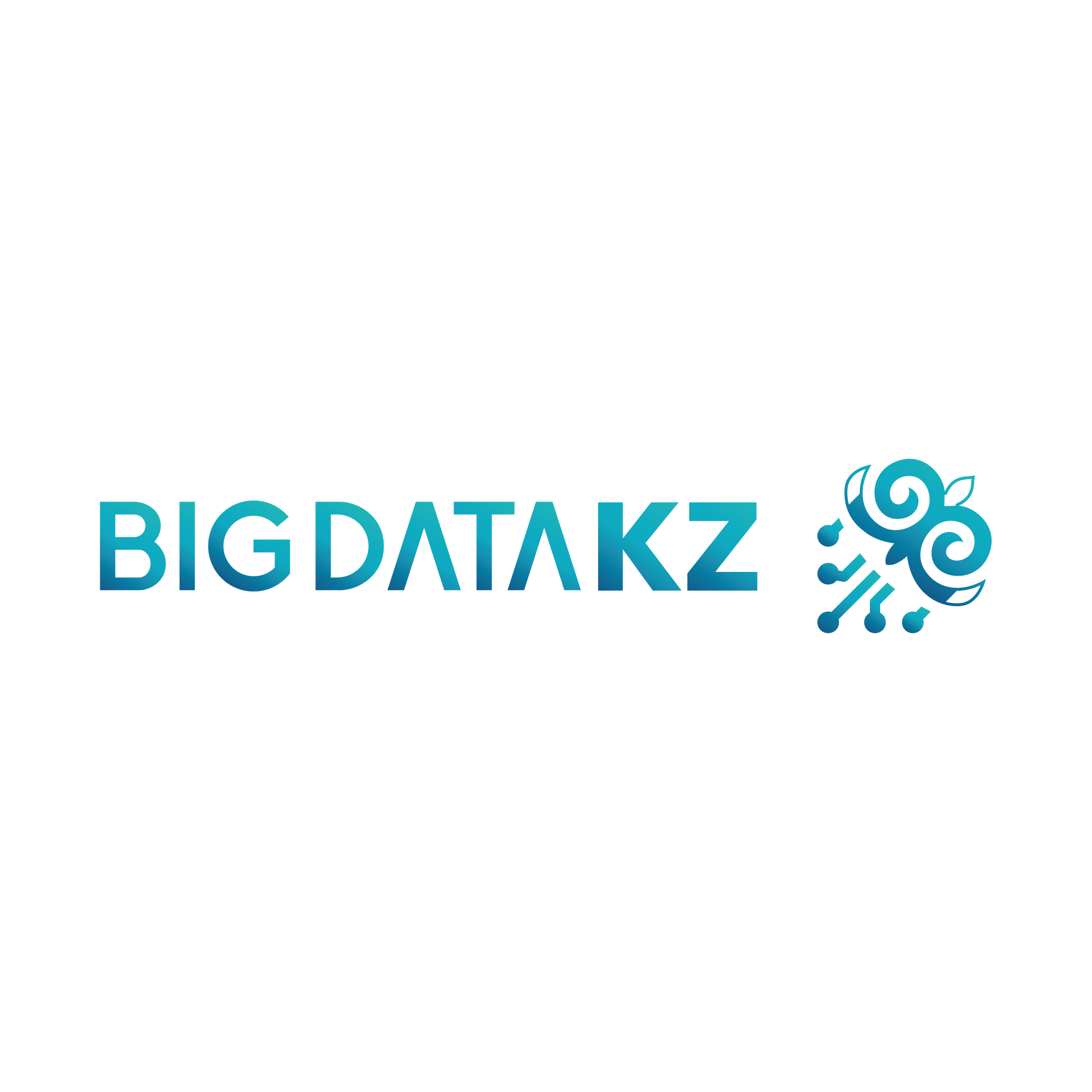 Big Data KZ