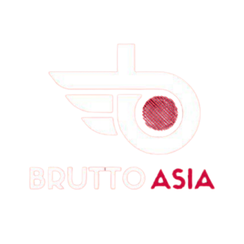 Логистическая Компания BRUTTO ASIA