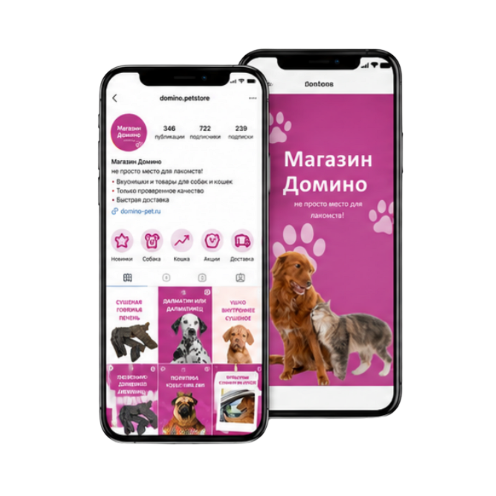 Instagram-профиль Магазина Домино