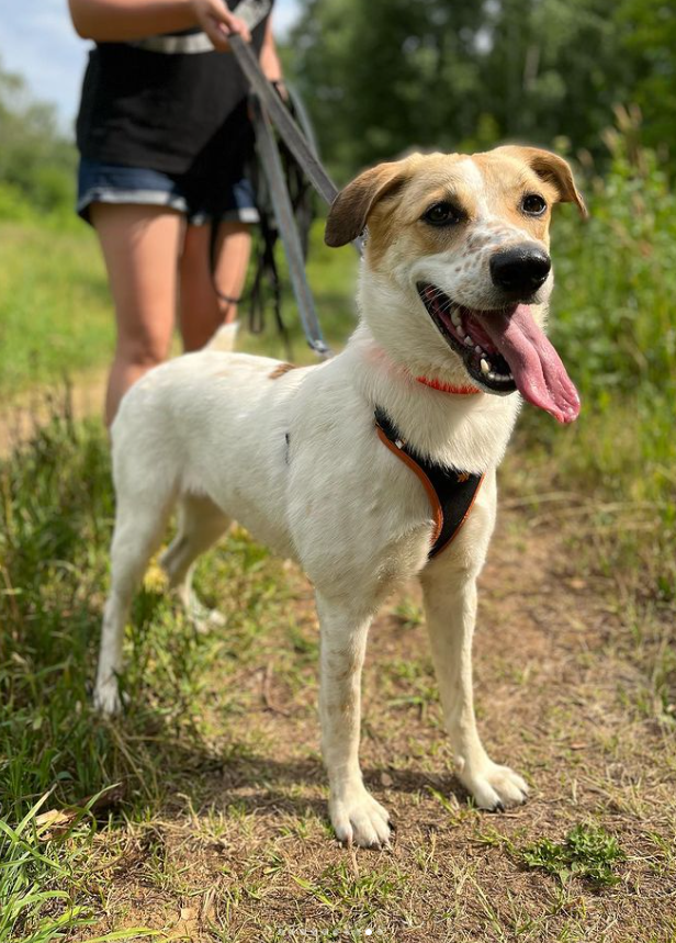 Веснушка из Некрасовки